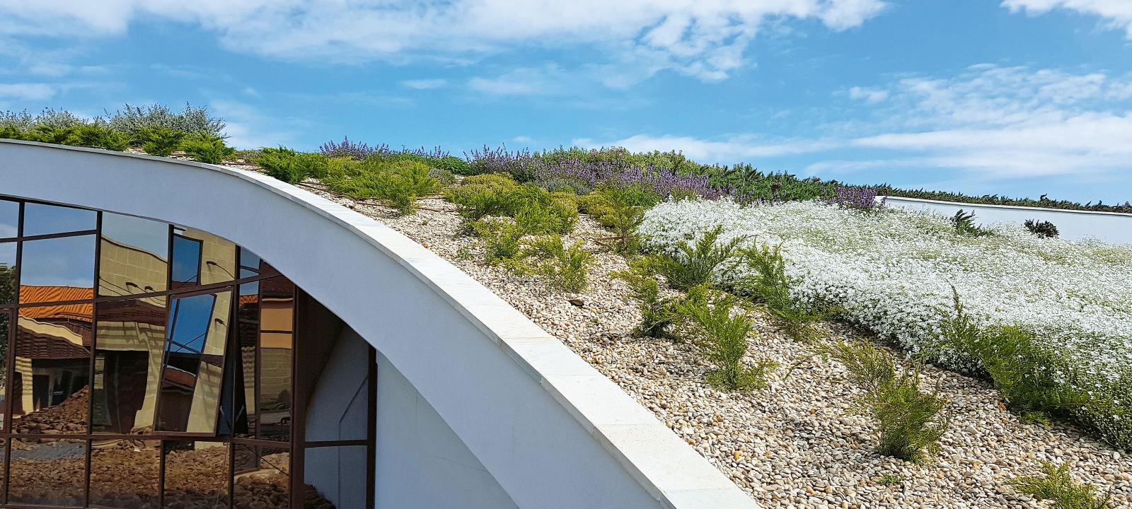 Pitched green roof